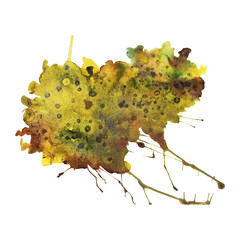 Hand-painted watercolor blot in green, brown, and yellow tones with organic texture and splashes. Transparent PNG, perfect for eco design, packaging, collages, and branding.