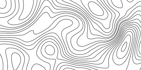 Minimal Abstract Topographic Line Background in White and Light Grey Tones.