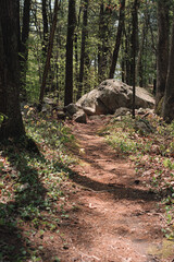 The view from a public hiking trail in Newburyport, Massachusetts. This trail is located in a wooded part of the city, not far from downtown or the ocean. A trail and a boulder in the woods.