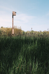 The view from a public hiking trail in Newburyport, Massachusetts. This trail is located in a wooded part of the city, not far from downtown or the ocean. A bluebird box in a hay field.