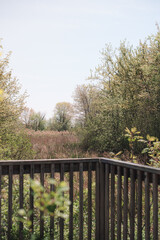 The view from a public hiking trail in Newburyport, Massachusetts. This trail is located in a wooded part of the city, not far from downtown or the ocean. An overlook above a forested wetland.