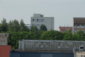 A large building that features a multitude of windows is surrounded by a variety of lush trees, creating a beautiful urban environment