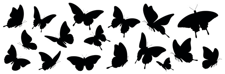Set of butterfly silhouettes. isolated vector on white background.