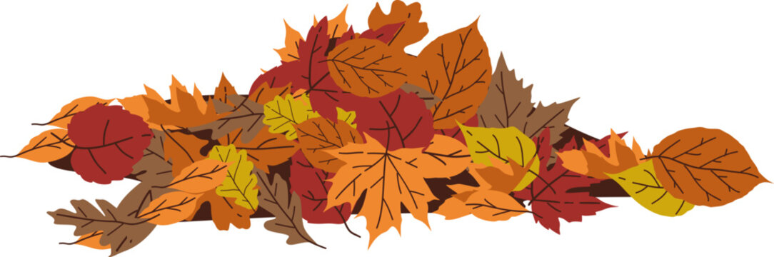 Autumn Leaf Pile Illustration