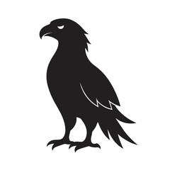 Profile View Eagle Soaring Bird Silhouette