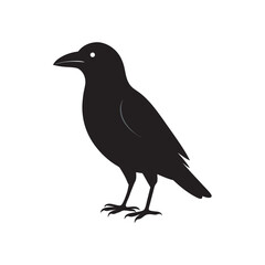 Profile View Crow Flying Bird Silhouette