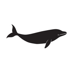 Profile View Blue Whale Sea Silhouette