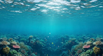 Fototapeta premium Underwater coral reef scene (1)