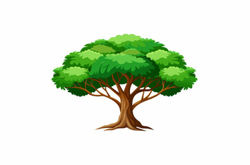 Obraz premium Banian tree