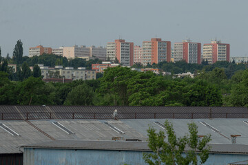 Obraz premium A breathtaking view of a bustling city from the rooftop of a tall building, showcasing the vibrant urban life and architecture below