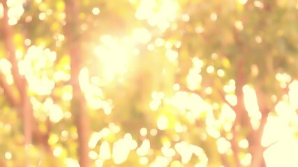 Golden sunlight shining through trees with warm bokeh in the background blur. Peaceful, relaxing, and nature inspired mood - Powered by Adobe