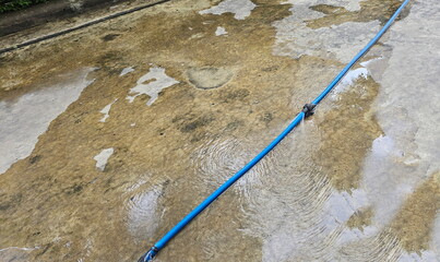 A blue hose with black Scotch tape tied around it because it had leak. The hose is used for...