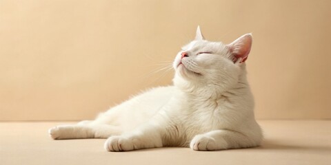 A white cat with closed eyes lies relaxed on a beige background, appearing calm and content.