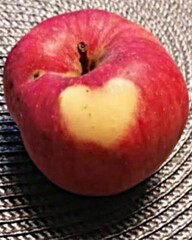 Apfel mit Herz