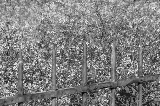Barfleur an der franz&ouml;sischen Atlantikk&uuml;ste