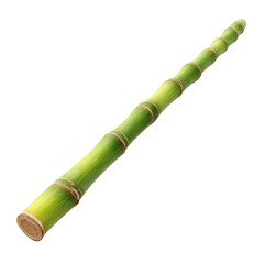 Fototapeta premium Fresh Green Sugar Cane Stalk Isolated on White Background for Natural Product Themes and Culinary Use Transparent background or png