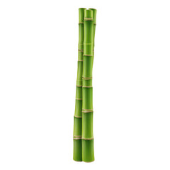 Fototapeta premium Vertical Green Bamboo Stalks Isolated on White Background for Natural and Eco-Friendly Designs Transparent background or png
