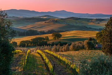 Obraz premium Alba nelle colline della val d'Orcia