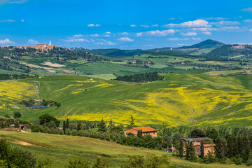 Obraz premium Panorami colline senesi