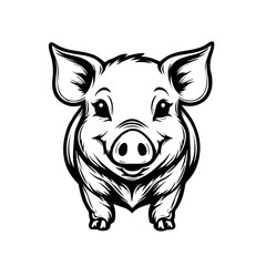 Pig vector illustration