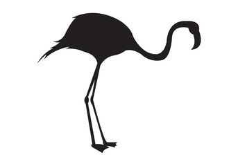 flamingo vector silhouette, Vector black flamingo silhouette, Black silhouette of tropical bird flamingo