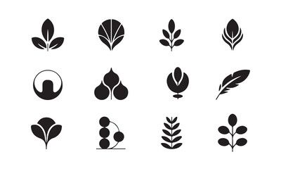 Set of Abstract Floral and Botanical Icons, A collection of twelve minimalist, black and white, abstract floral and botanical icons vector art on white