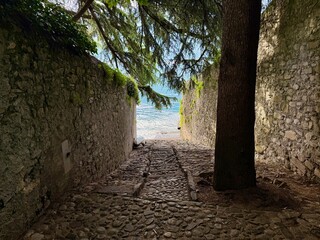 Secluded cobblestone lane flanked by ancient mossy stone walls, leafy hedges and wisteria blossoms...