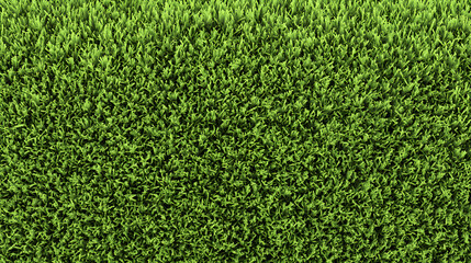 Obraz premium Lush Green Grass Texture Background Lawn Surface Image
