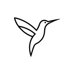 vector illustration of an hummingbird vector illustration art icon