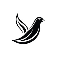 dove of peace vector illustration art icon