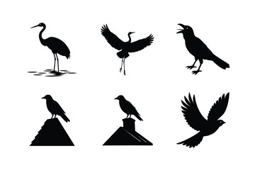 Bird silhouette icons for minimal artwork Silhouette Vector illustration