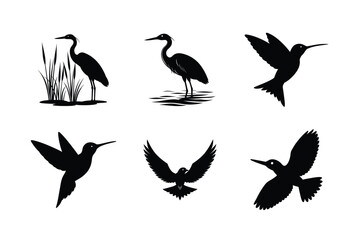 Obraz premium Flying and standing birds vector pack art Silhouette Vector illustration