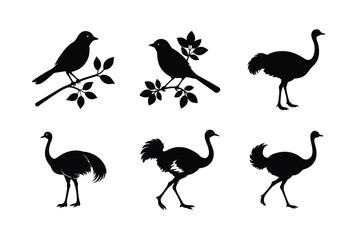 Fototapeta premium Assortment of realistic bird poses and wings Silhouette Vector illustration