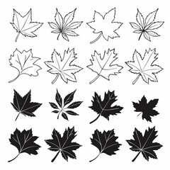 Editable Maple Leaf Icons – Silhouettes and Outline Autumn Vector Set