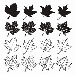 Editable Maple Leaf Icons – Silhouettes and Outline Autumn Vector Set
