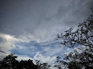 Sun Peeking Through Dense Clouds Over Tree Tops – Atmospheric Nature Scene
