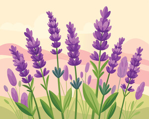 Naklejka premium Blooming lavender flowers with soft petals vector art design 