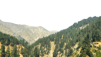 pine trees in the mountains isolated png