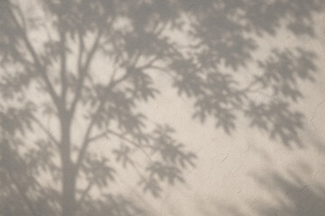 Soft Beige Wall with Tree Branch and Leaf Shadows Subtle Light Grey Overlay Minimalist Nature Photography