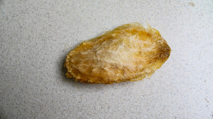 Stone of mango on bright background