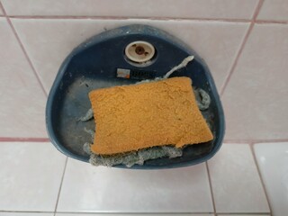 Old sponge in soap dish on bathroom wall