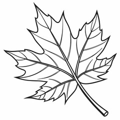 Maple Leaf Outline Vector – Autumn Line Art Illustration