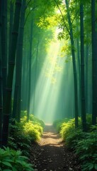 Serene bamboo forest bathed in morning mist, sunlight filtering through leaves Tranquil scene evokes peace and natural beauty of East Asia , calm, texture
