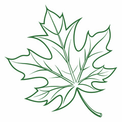 Maple Leaf Outline Vector – Autumn Line Art Illustration
