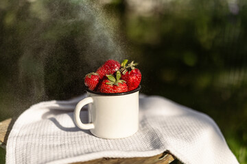 Ripe strawberries in a white enamel cup on a wooden chair, surrounded by nature. Rustic feel with soft light and seasonal charm
