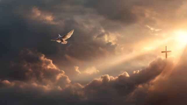 Radiant cross with descending dove and light beams. Holy Spirit symbol