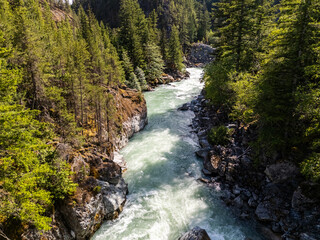 Scenic View of Lush Forest and River in BC, Canada during Daytime