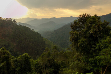 Panoramic view of bwindi national park - Uganda