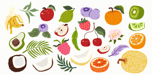 Colorful tropical fruit vector set with hand-drawn banana, apple, cherry, raspberry, lime, coconut, kiwi, melon, avocado, blueberry, citrus slices, leaves, and flowers in flat doodle design