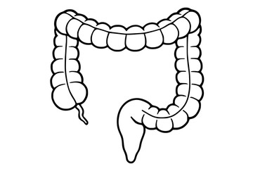 colon illustration, vector